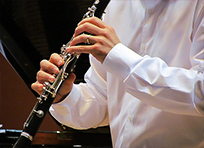 Retrato das Américas: a clarineta do norte ao sul
