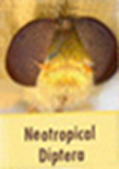 Neotropical Diptera