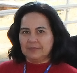 Lucinéia Martins Levandosqui